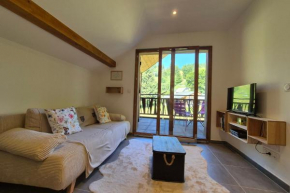 Superbe appartement 4 personnes au pied des pistes